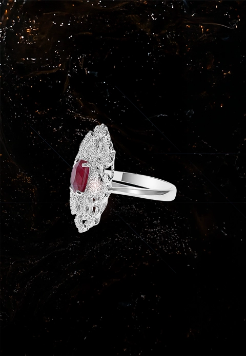 Look N°1 SANCITY By SALTANAT