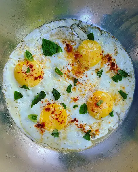 Look N°1 The World On A Plate - Natalio Simionato