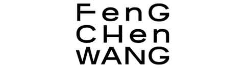 FENG CHEN WANG - LOGO