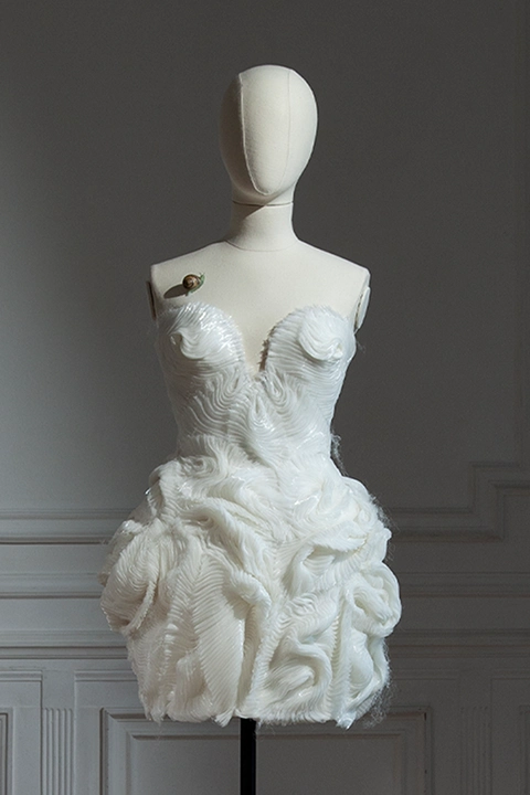 Look N°7 — SYLVIO GIARDINA