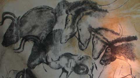 CHAUVET CAVE P. 2-8