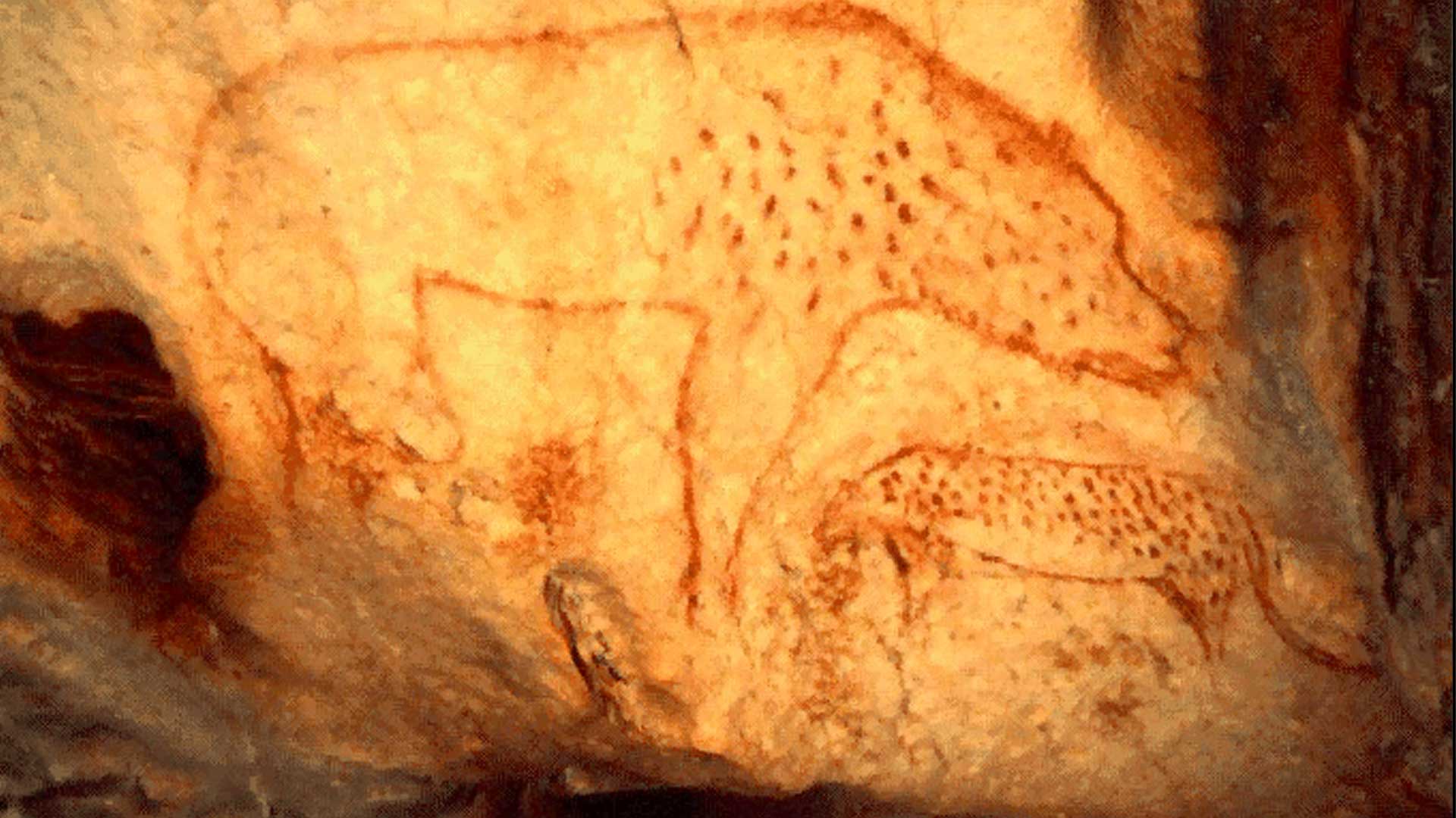 CHAUVET CAVE P. 6-8