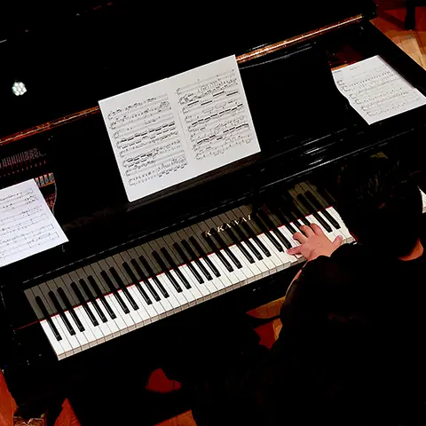 LU JING GUZHENG SPECIAL CONCERT N°11