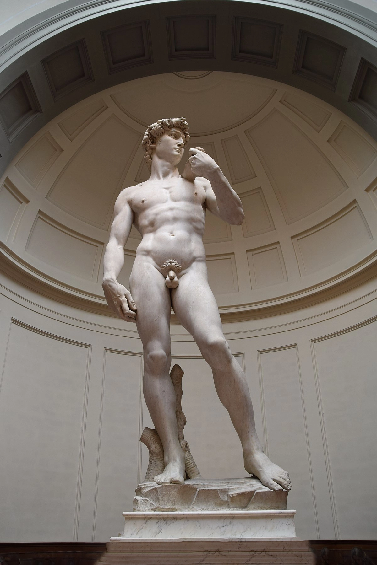 Michelangelo's David