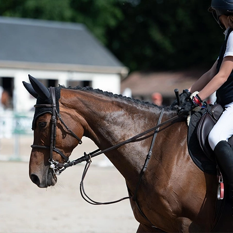 N°1 ROYAL JUMP - CHÂTEAU DE BERTICHÈRES