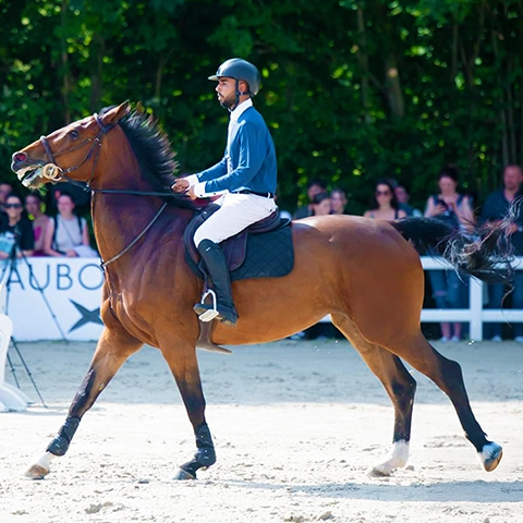 N°23 ROYAL JUMP - CHÂTEAU DE BERTICHÈRES